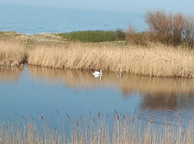 شقة Seeblick Hohenfelde (Plon)